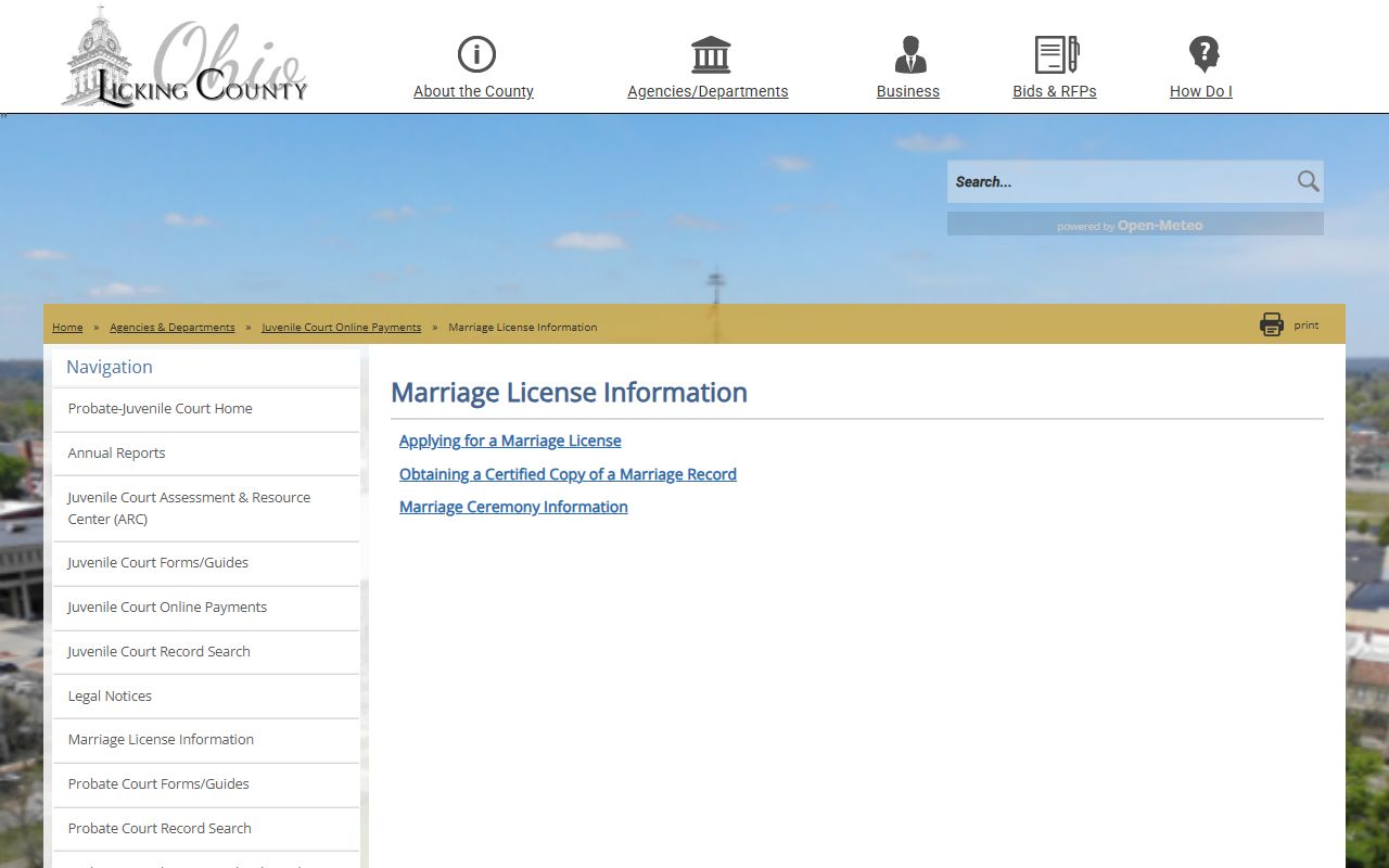 Licking County Probate Court marriage license application page